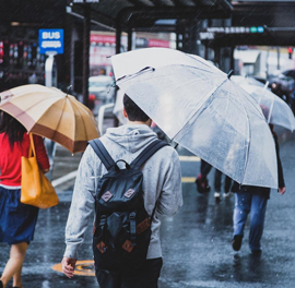 雨